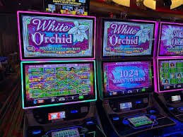 sumsel togel featured game showcase